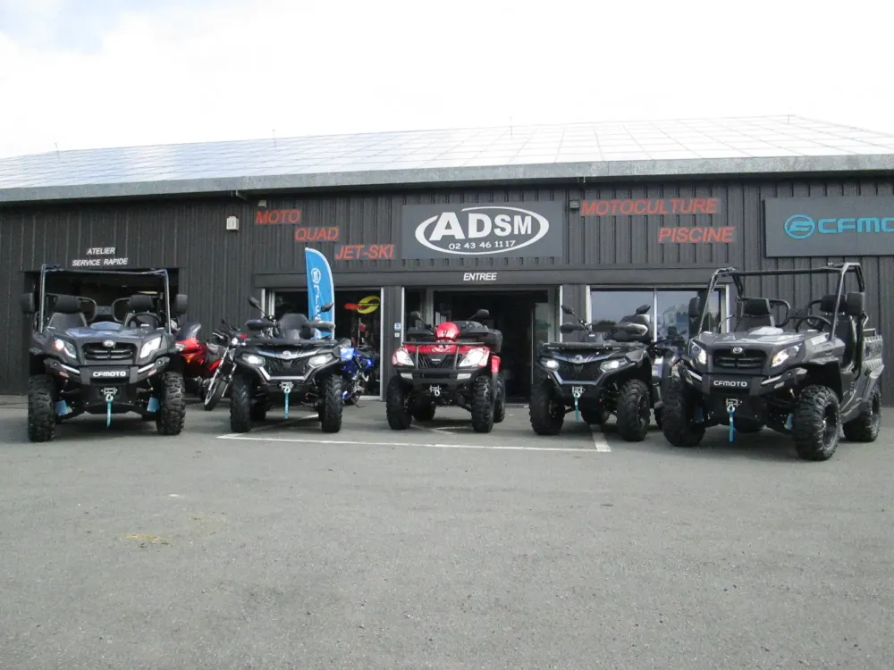 quads